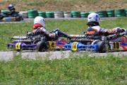 20110501_ales_agnus (2699)